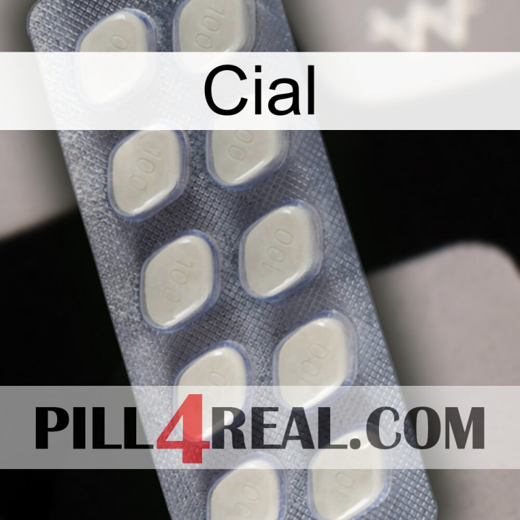 Cial 08